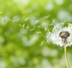 Όταν εμείς αλλάζουμε, αλλάζει κι η πραγματικότητά μας