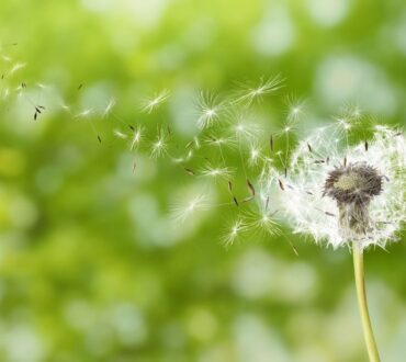 Όταν εμείς αλλάζουμε, αλλάζει κι η πραγματικότητά μας