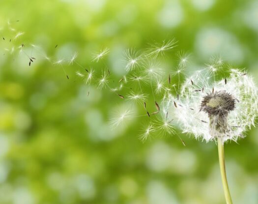 Όταν εμείς αλλάζουμε, αλλάζει κι η πραγματικότητά μας