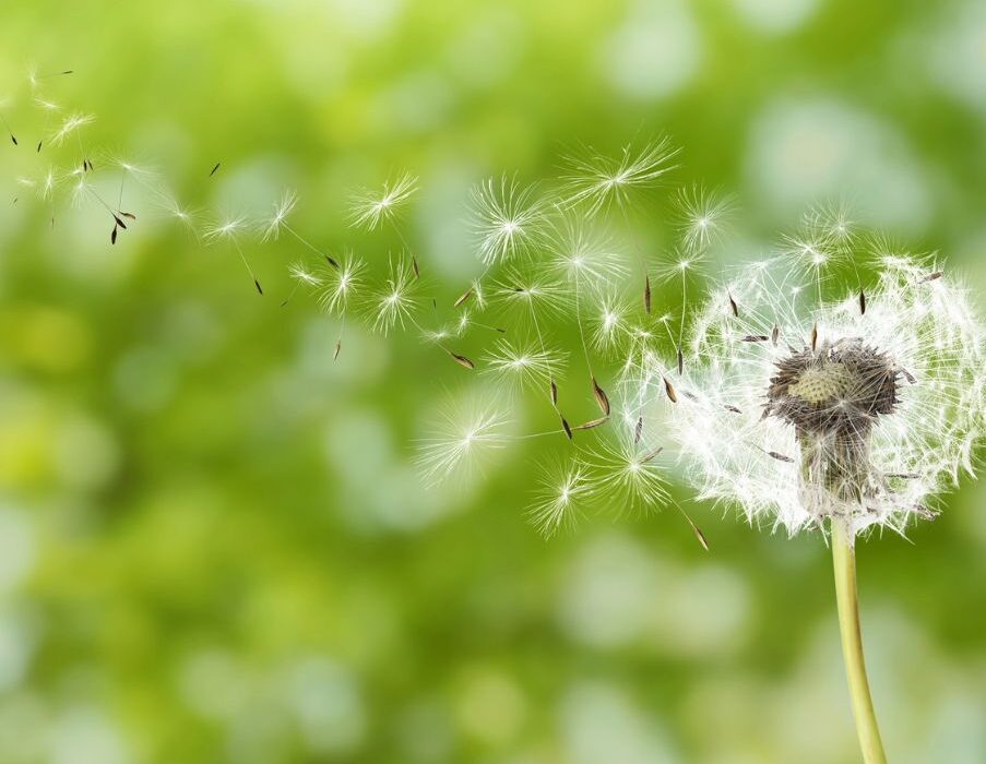 Όταν εμείς αλλάζουμε, αλλάζει κι η πραγματικότητά μας