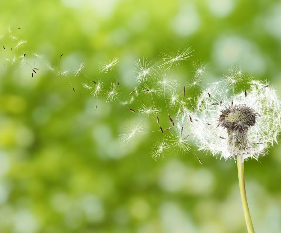 Όταν εμείς αλλάζουμε, αλλάζει κι η πραγματικότητά μας