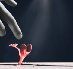 Erich Fromm: «Να ελπίζεις σημαίνει να είσαι έτοιμος, ανά πάσα στιγμή, για αυτό που ακόμη δεν έχει γεννηθεί»