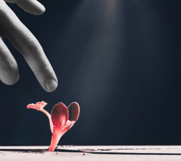 Erich Fromm: «Να ελπίζεις σημαίνει να είσαι έτοιμος, ανά πάσα στιγμή, για αυτό που ακόμη δεν έχει γεννηθεί»