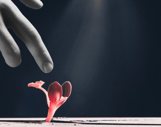 Erich Fromm: «Να ελπίζεις σημαίνει να είσαι έτοιμος, ανά πάσα στιγμή, για αυτό που ακόμη δεν έχει γεννηθεί»