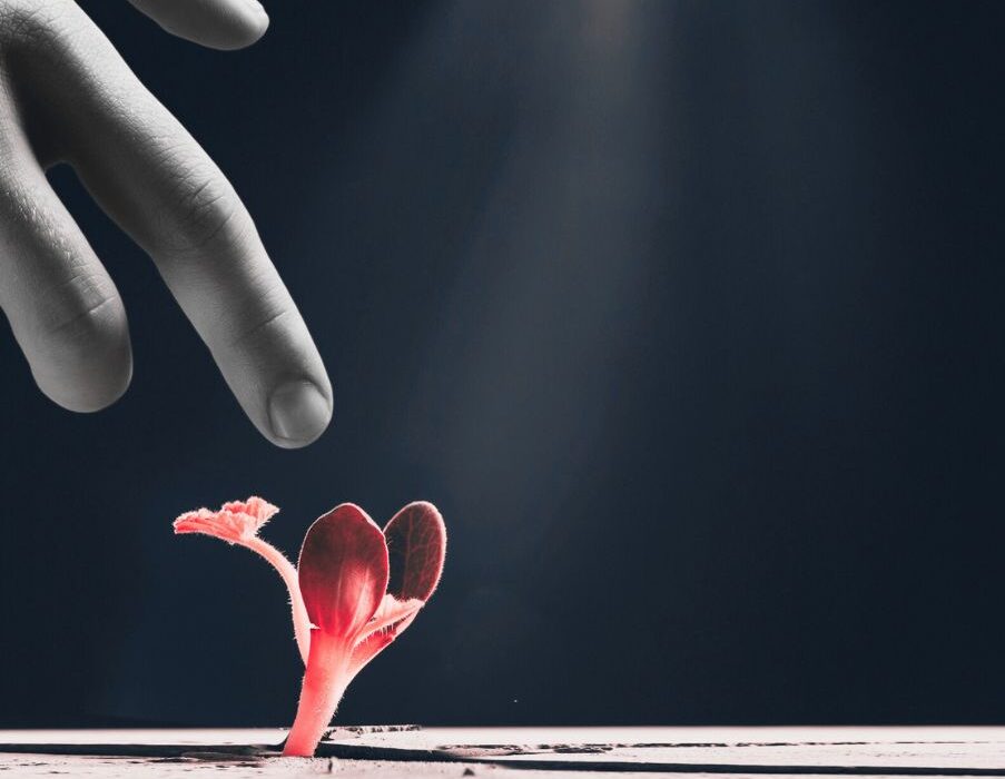 Erich Fromm: «Να ελπίζεις σημαίνει να είσαι έτοιμος, ανά πάσα στιγμή, για αυτό που ακόμη δεν έχει γεννηθεί»