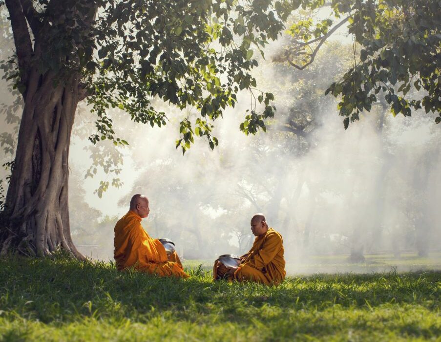 Τι συμβαίνει στον εγκέφαλο όταν διαλογιζόμαστε; Τα ευρήματα από μελέτες σε βουδιστές μοναχούς