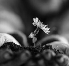 Λιγότερα... Αυτός είναι ο στόχος