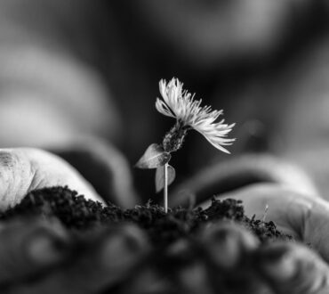 Λιγότερα... Αυτός είναι ο στόχος