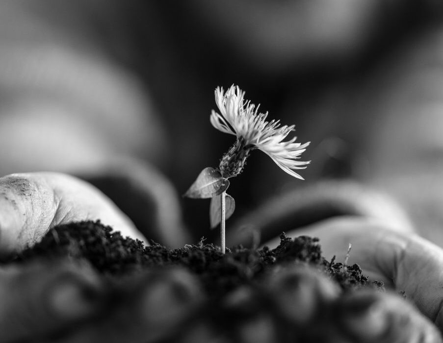 Λιγότερα... Αυτός είναι ο στόχος