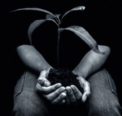 Χωρίς ρίζες δεν ξέρουμε ποιοι είμαστε και χωρίς φτερά δεν ανακαλύπτουμε ποιοι μπορούμε να γίνουμε