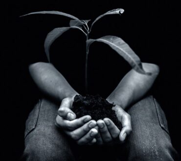 Χωρίς ρίζες δεν ξέρουμε ποιοι είμαστε και χωρίς φτερά δεν ανακαλύπτουμε ποιοι μπορούμε να γίνουμε