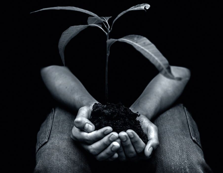 Χωρίς ρίζες δεν ξέρουμε ποιοι είμαστε και χωρίς φτερά δεν ανακαλύπτουμε ποιοι μπορούμε να γίνουμε