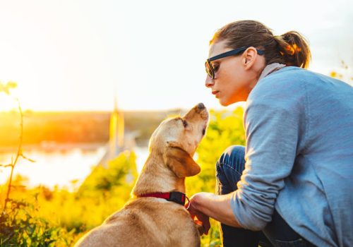 Μιλάτε στο κατοικίδιό σας; Επιστήμονες λένε ότι είναι σημάδι ευφυίας