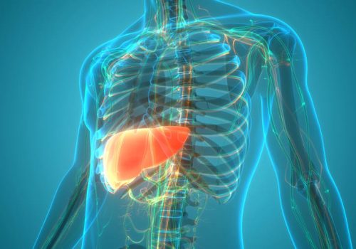 Λιπώδες ήπαρ: Το πρόγραμμα διατροφής που βοηθά στην απώλεια βάρους και μειώνει το λίπος
