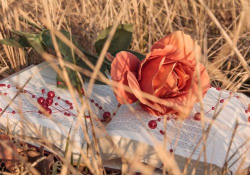 Η ζωή είναι ποίηση και οτιδήποτε σκοτεινό μπορεί να γίνει μια δίεση που θα αλλάξει το κομμάτι...