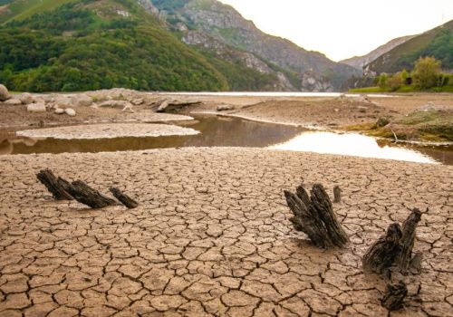 Act for Earth: Πώς επηρεάζει η ξηρασία τη ζωή στον πλανήτη (βίντεο)