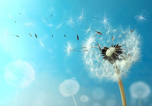 Ο Δεκέμβριος δεν είναι ένας μήνας για φωτάκια και λαμπιόνια... Είναι ο μήνας της Αναγέννησης!