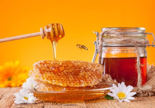 Μέλι από έλατο: Το βασιλικό μέλι