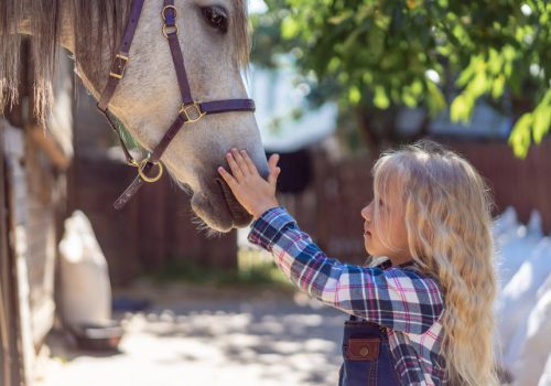Τα άλογα μπορούν να διακρίνουν τα συναισθήματα στο πρόσωπο και τη φωνή του ανθρώπου