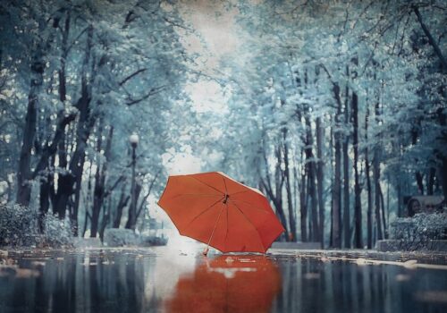 Ανήκεις εκεί που δεν φοβάσαι να είσαι αληθινός. Εκεί που δεν χρειάζεται να κρύψεις τα σκοτάδια σου