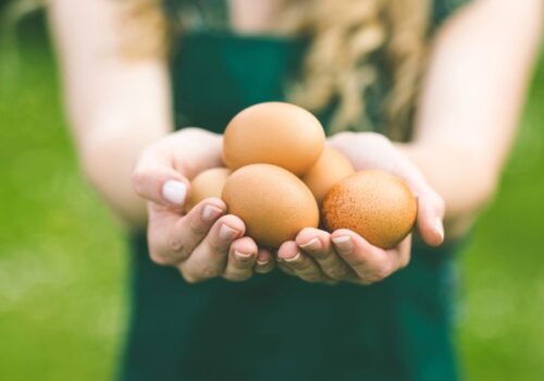 Αυγά: Ένα... παρεξηγημένο superfood. Τι ισχύει τελικά με τη χοληστερίνη;