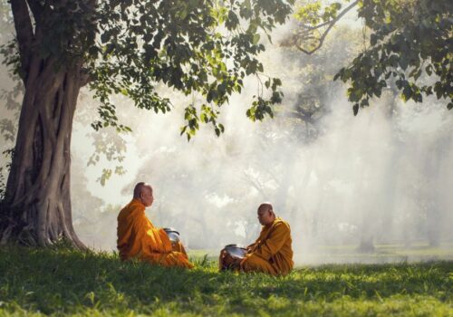 Τι συμβαίνει στον εγκέφαλο όταν διαλογιζόμαστε; Τα ευρήματα από μελέτες σε βουδιστές μοναχούς