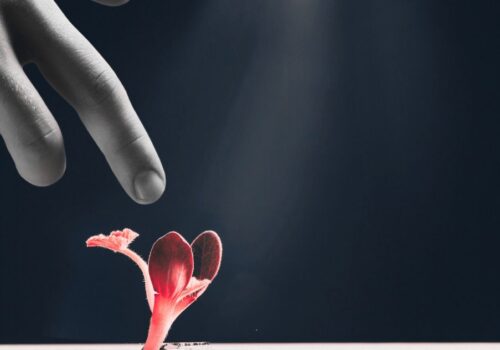 Erich Fromm: «Να ελπίζεις σημαίνει να είσαι έτοιμος, ανά πάσα στιγμή, για αυτό που ακόμη δεν έχει γεννηθεί»