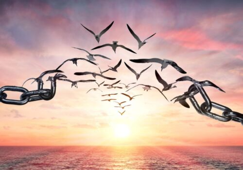 freedom