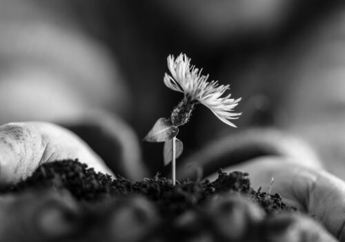 Λιγότερα... Αυτός είναι ο στόχος