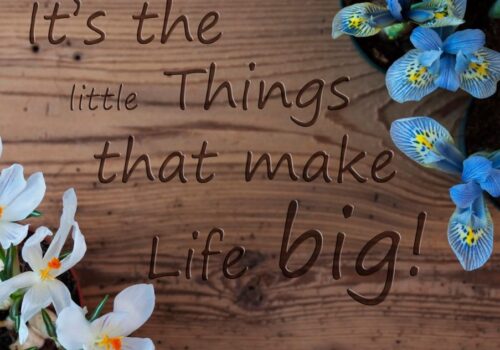 little things