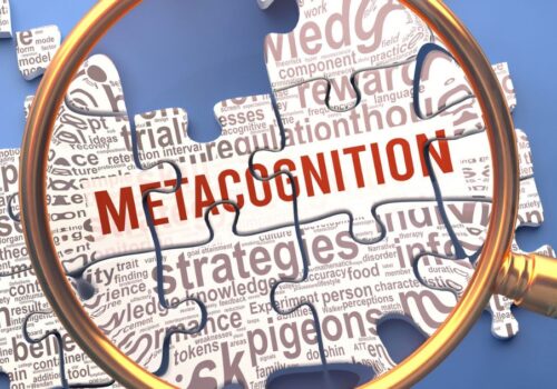 metacognition