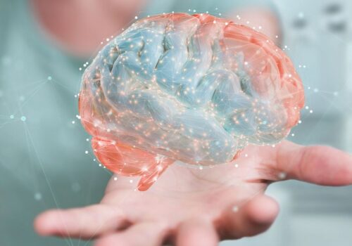 Μπορούμε να γίνουμε πιο έξυπνοι; 5 τρόποι για να αυξήσει κανείς τη νοητική του ικανότητα