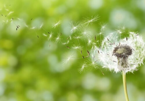 Όταν εμείς αλλάζουμε, αλλάζει κι η πραγματικότητά μας