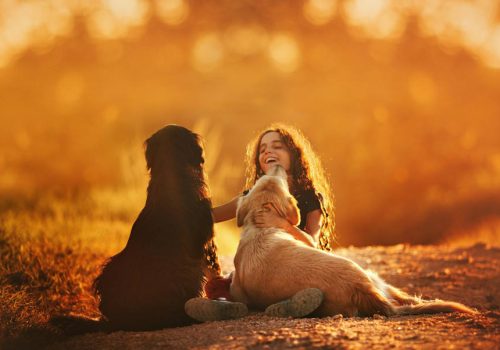 4 λόγοι που τα σκυλιά ωφελούν την ψυχολογική, κοινωνική και σωματική ευεξία ενός παιδιού
