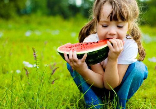 regenerative nutrition