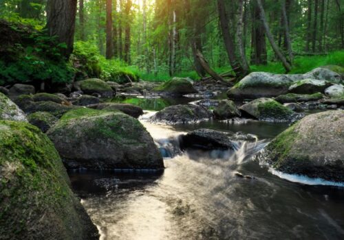 Αυτό που με καθοδηγεί είναι η επίγνωση του πότε να κρατώ γερά το τιμόνι και πότε να αφήνω τη ζωή να με παρασύρει