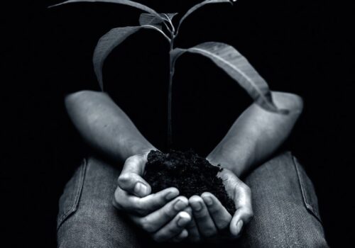 Χωρίς ρίζες δεν ξέρουμε ποιοι είμαστε και χωρίς φτερά δεν ανακαλύπτουμε ποιοι μπορούμε να γίνουμε