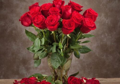 roses