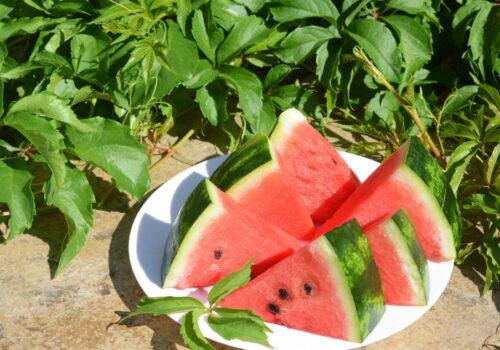 watermelon